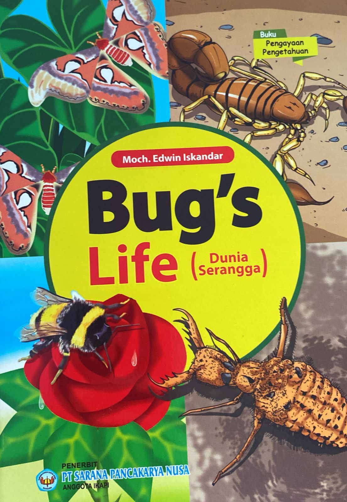 Bug's LIfe ( Dunia Serangga)